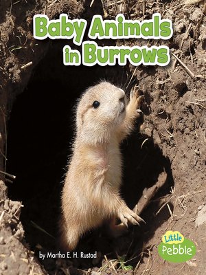 cover image of Baby Animals in Burrows